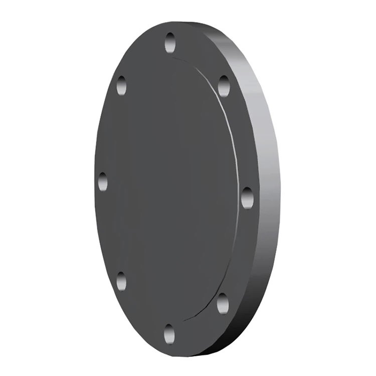 Titanium Blind Flange