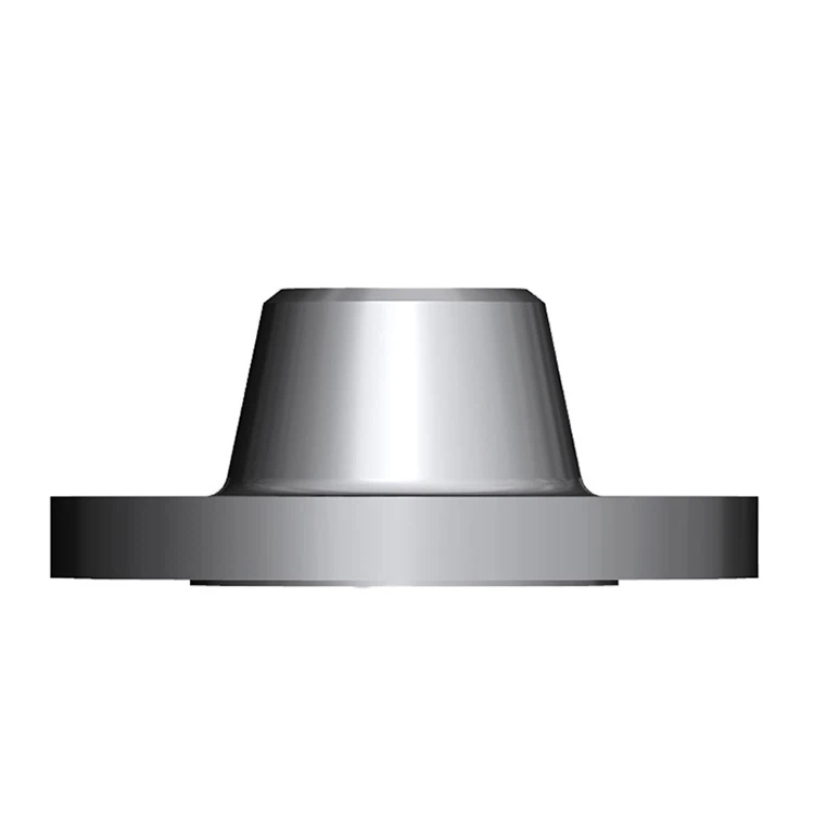 Stainless Steel Weld Neck Flange