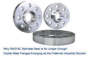 Duplex Stainless Steel Flange